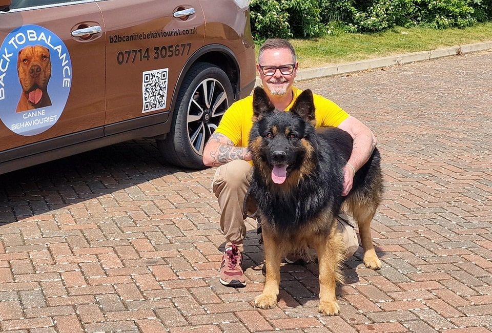 German Shepard with dog behaviourist