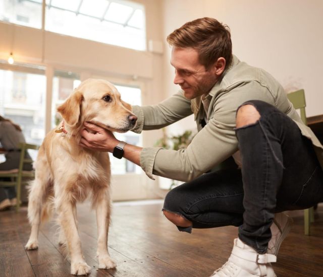 Dog in proffesional environment